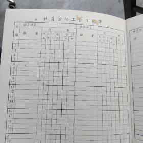 小组劳动工分记录簿（上海县 人民公社 生产大队）内可记录页54页