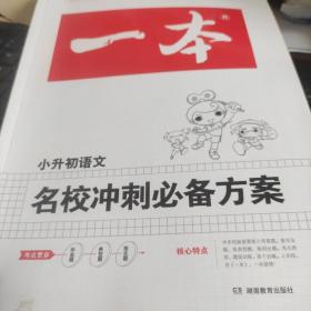 2017年一本:名校冲刺必备方案 语文(小学升初中总复习资料)/开心教育