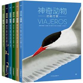 神奇动物（全6册）9787505750166中国友谊出版公司 c