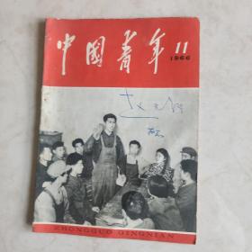 中国青年  1966.11