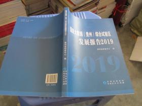 国家大数据（贵州）综合试验区发展报告2019   品好 货号10-8