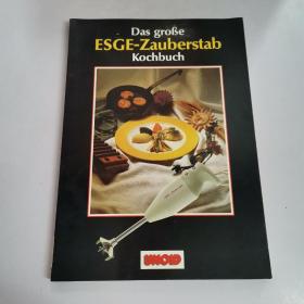 Das große ESGE-Zauberstab Kochbuch