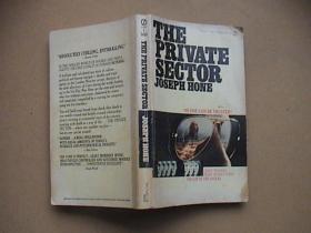 THE PRIVATE SECTOR.