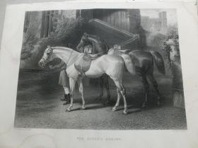 【百元包邮】《女王坐骑》(THE QUEENS HORSES) 1856年 钢版画 源自艺术日志  纸张尺寸约31.8×23.5厘米（编号AJ0962）