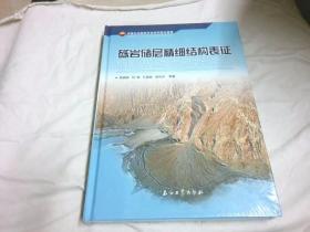 砾岩储层精细结构表征