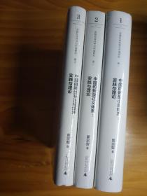 【现货实物】中国的新型非正规经济：实践与理论、中国的新型正义体系：实践与理论、中国的新型小农经济：实践与理论 （三册合售）