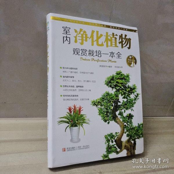 情趣生活系列：室内净化植物观赏栽培一本全