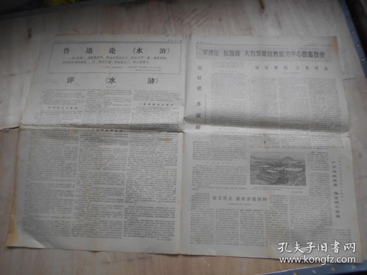 黑龙江日报 1975年9月1日 4版