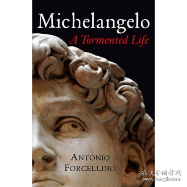 Michelangelo:ATormentedLife