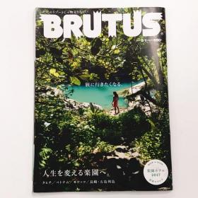 BRUTUS 2017年5月1日号总第845期