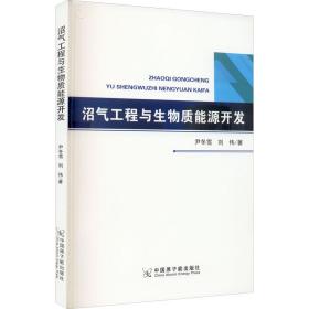 沼气工程与生物质能源开发