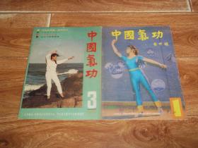 八十年代初老期刊  中国气功 （1989年第1、3期   共两册  合售）（含武当神行功、气功导引与饮膳调摄、龙凤功、葛洪与气功、《永乐大典》论“精”、中医外治法之一—导引的兴起等文章）