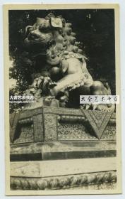 民国北京铜狮精美雕像老照片，泛银