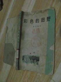 彩色的田野
