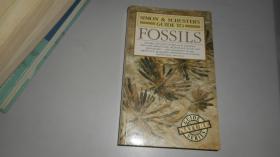 Simon & SchusterS Guide To Fossils
