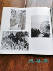 日本南画院展图录 1986第26回 16开千余图！中国苏联日本水墨画联展