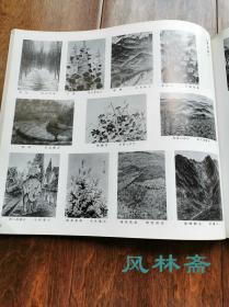 日本南画院展图录 1986第26回 16开千余图！中国苏联日本水墨画联展