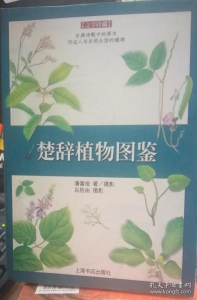 楚辞植物图鉴