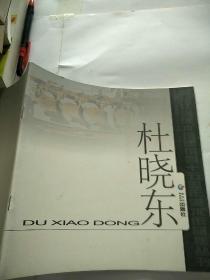 杜晓东画册 黑龙江省美术馆建馆45周年美术作品集