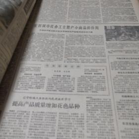 大公报1961年1月