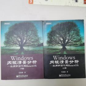 Windows内核情景分析：采用开源代码ReactOS 上下两册