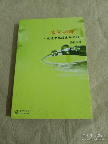 冰河起舞：绝境中把握生命之门