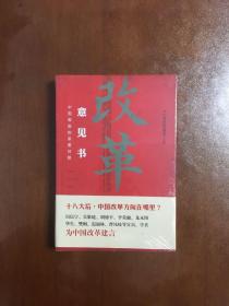 改革意见书 中国面临的紧要问题