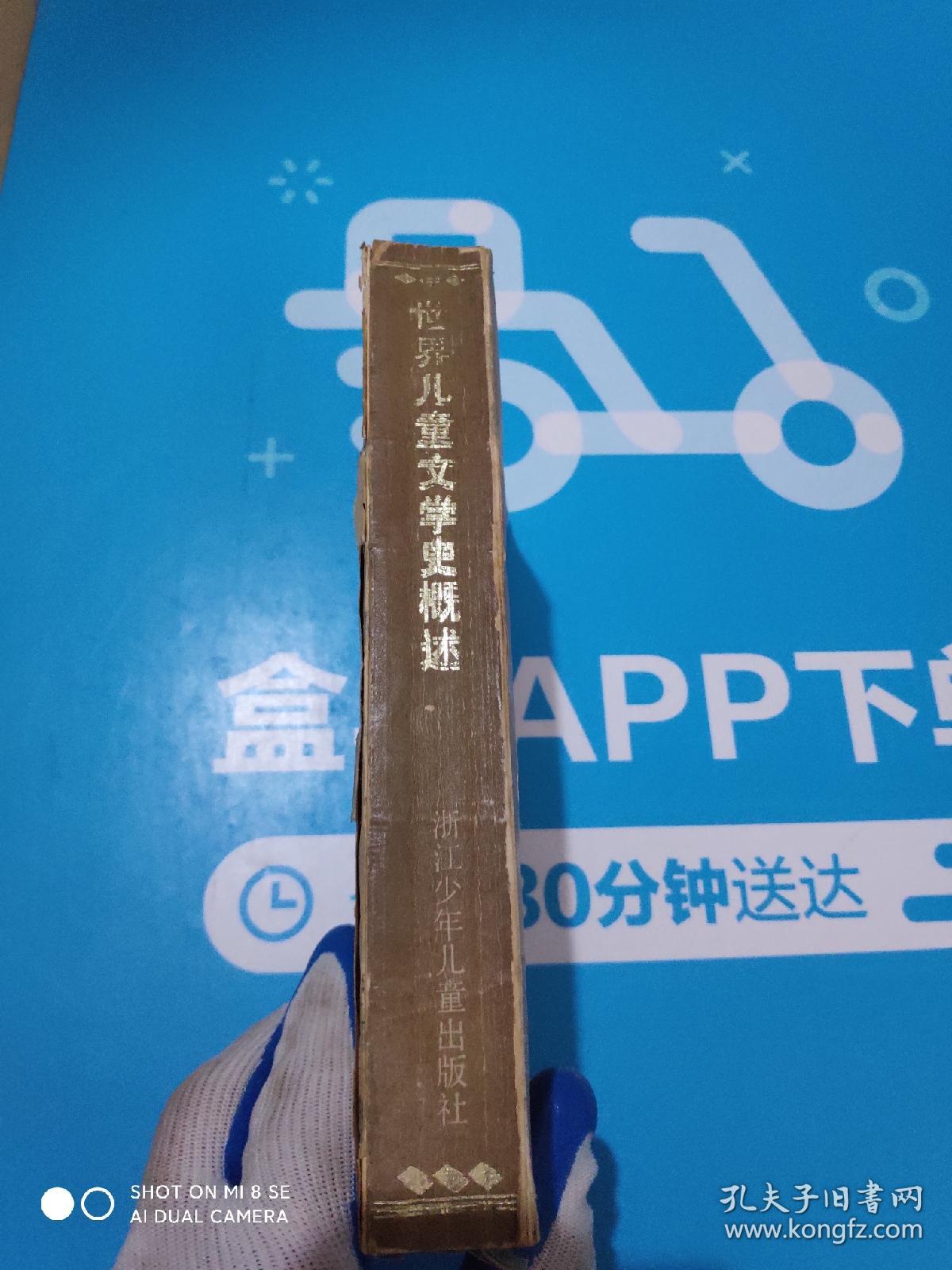 世界儿童文学史概述