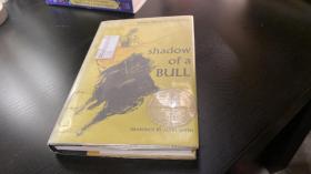 英文原版  shadow of a Bull （Newbery Award Winners* 此书获纽伯瑞金奖 精装插图本）