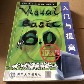 Visual Basic 6.0中文版入门与提高