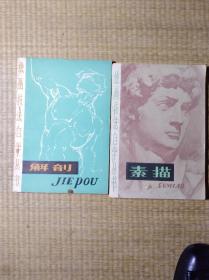 绘画技法自学丛书：解剖（1版1印）素描（1版3印）合售【正版图书 书边轻微泛黄 内页干净 无笔迹无划线 实物拍图 放心下单】