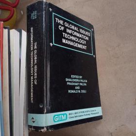 THE GLOBAL  ISSUES OF INFORMATION TECHNOLOGY MANAGEMENT