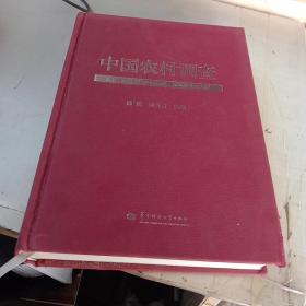 中国农村调查（总第20卷口述类第2卷农村变迁第2卷）