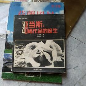 亚当斯:40幅作品的诞生