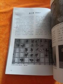 呼和浩特往事 : 额博散文集