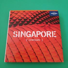 Lonely Planet Citiescape singapore