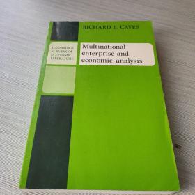 MULTINATIONAL ENTERPRISE AND ECONOMIC ANALYSIS