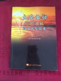 大庆西部砂岩油藏高效开发技术
