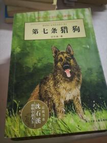 动物小说大王沈石溪品藏书系:《骆驼王子》《再被狐狸骗一次》《热血羊娃》《和乌鸦做邻居》《白象家族》《第七条猎狗》6册合售