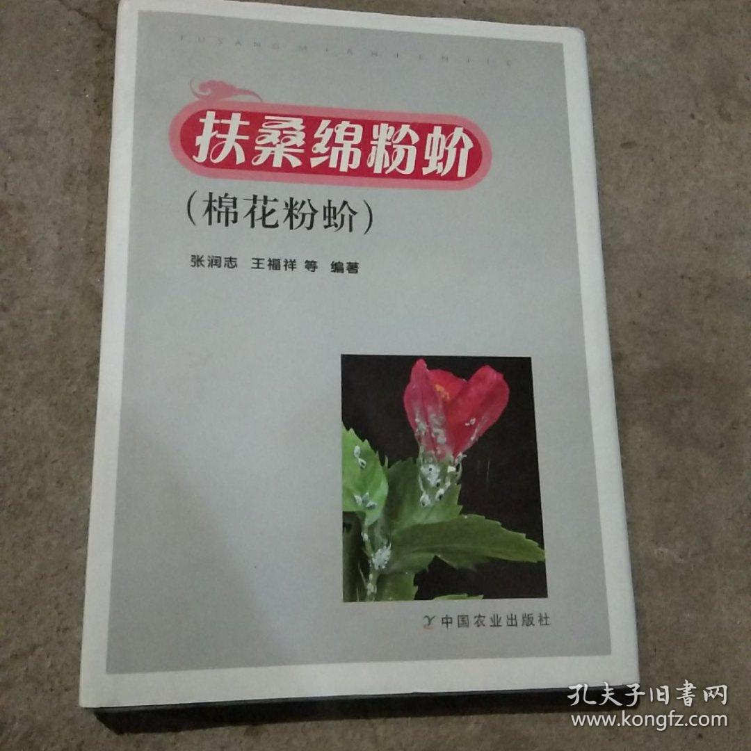 扶桑绵粉蚧(棉花粉蚧)