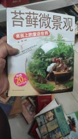 苔藓微景观 桌面上的童话世界