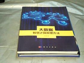 地理信息系统理论与应用丛书：大数据智慧计算原理方法