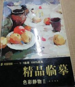 色彩静物(Ⅱ)完全范本精品临摹 樊林