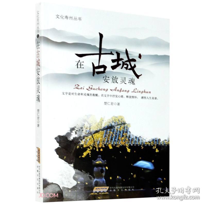 在古城安放灵魂/文化寿州丛书