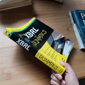 XBRL For Dummies 傻瓜书-XBRL