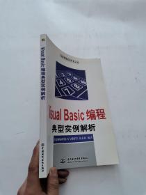 Visual Basic编程典型实例解析