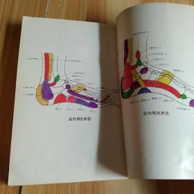 足——健康之石，足部反射区按摩疗法