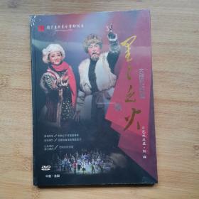 纪念中国共产党成立九十五周年:大型民族歌剧《星星之火》DVD