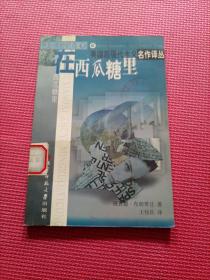 在西瓜糖里【美国后现代主义名作译丛 】