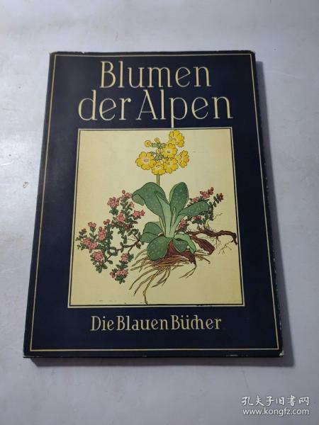 BLUMEN DER ALPEN